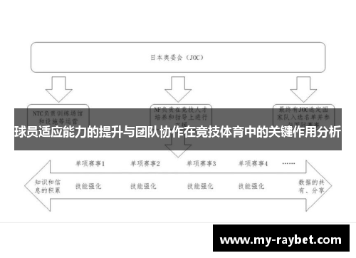 球员适应能力的提升与团队协作在竞技体育中的关键作用分析