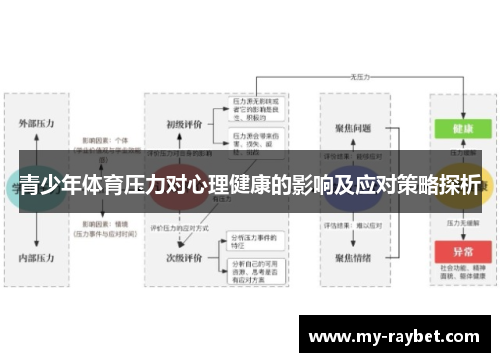 青少年体育压力对心理健康的影响及应对策略探析