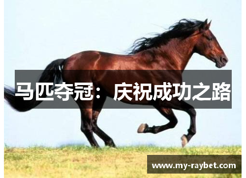 马匹夺冠：庆祝成功之路
