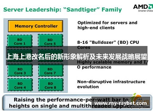 上海上港改名后的新形象解析及未来发展战略展望